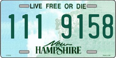 NH license plate 1119158