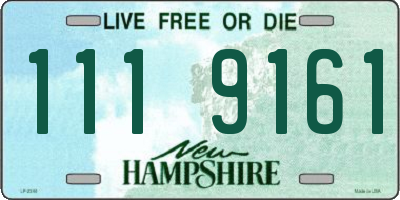 NH license plate 1119161