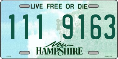 NH license plate 1119163