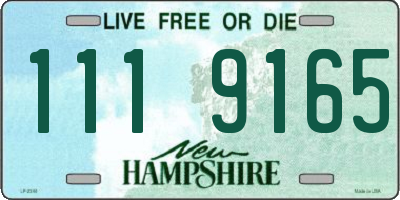 NH license plate 1119165