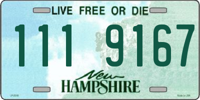 NH license plate 1119167