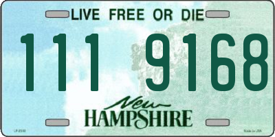 NH license plate 1119168