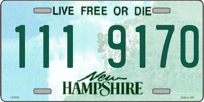 NH license plate 1119170
