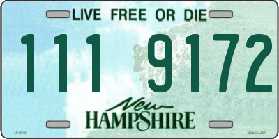 NH license plate 1119172