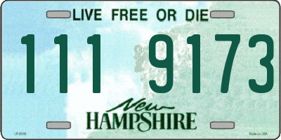 NH license plate 1119173