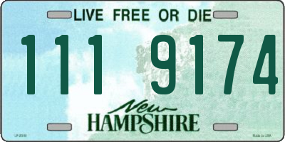 NH license plate 1119174