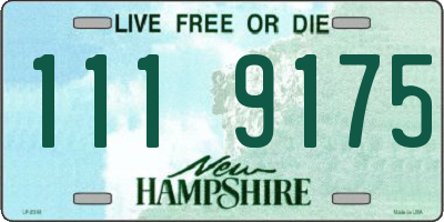 NH license plate 1119175