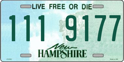 NH license plate 1119177