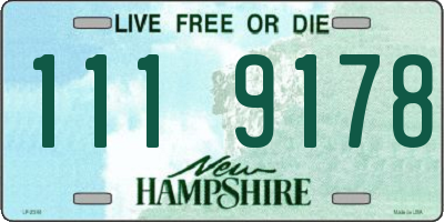 NH license plate 1119178