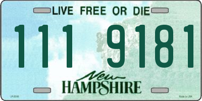 NH license plate 1119181
