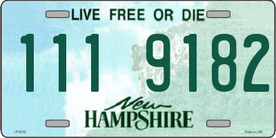 NH license plate 1119182