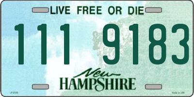 NH license plate 1119183