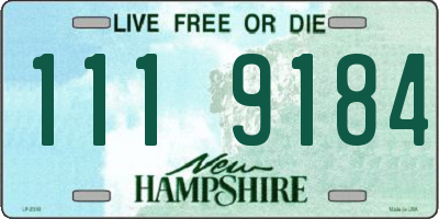 NH license plate 1119184