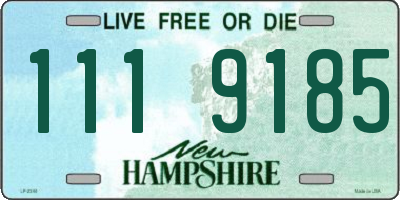 NH license plate 1119185
