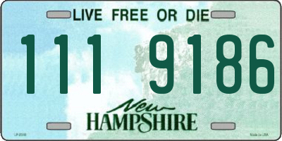 NH license plate 1119186