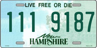 NH license plate 1119187