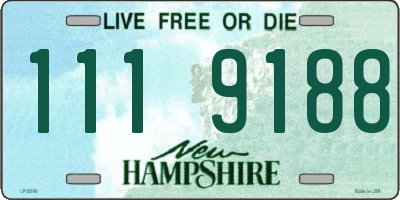 NH license plate 1119188