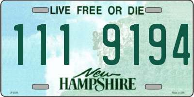 NH license plate 1119194