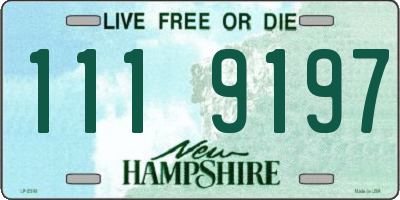 NH license plate 1119197