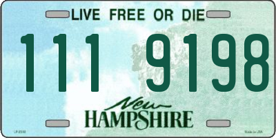 NH license plate 1119198