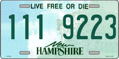 NH license plate 1119223