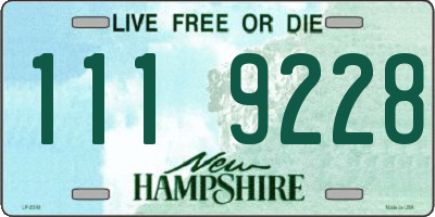 NH license plate 1119228