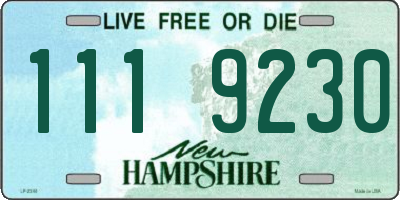 NH license plate 1119230
