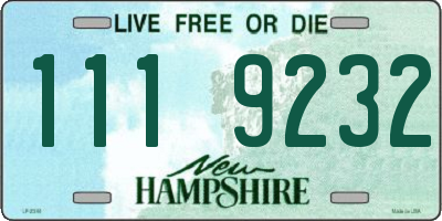 NH license plate 1119232