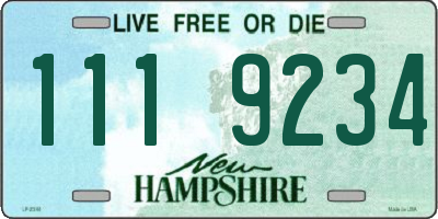 NH license plate 1119234