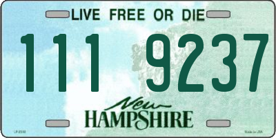 NH license plate 1119237