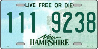 NH license plate 1119238