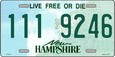 NH license plate 1119246