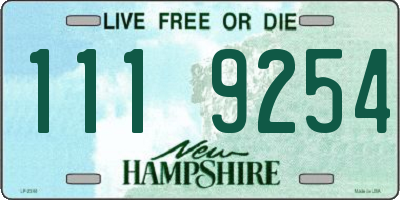 NH license plate 1119254