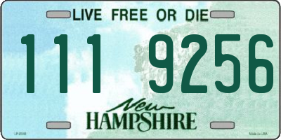 NH license plate 1119256