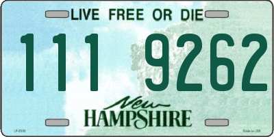 NH license plate 1119262