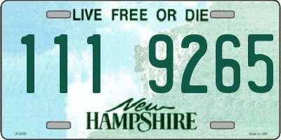 NH license plate 1119265