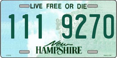 NH license plate 1119270