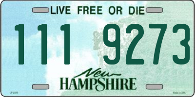 NH license plate 1119273