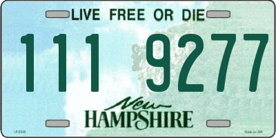 NH license plate 1119277
