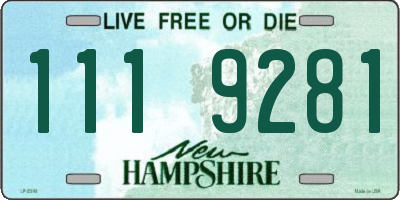 NH license plate 1119281