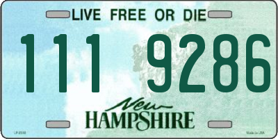 NH license plate 1119286