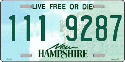 NH license plate 1119287