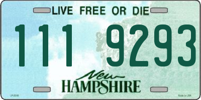 NH license plate 1119293