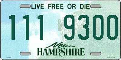 NH license plate 1119300