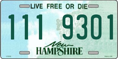 NH license plate 1119301