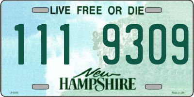NH license plate 1119309