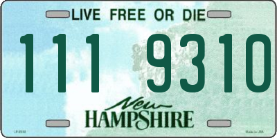 NH license plate 1119310