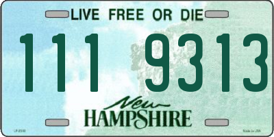 NH license plate 1119313