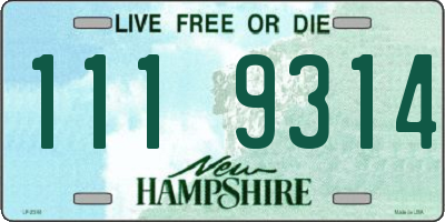 NH license plate 1119314