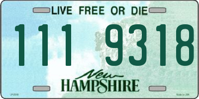 NH license plate 1119318